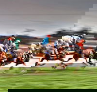 Grafton July Racing Carnival - Accommodation Gold Coast