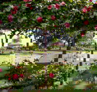 Griffith Spring Fest - Accommodation Gold Coast