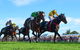 Ipswich Cup 2021 - thumb 2