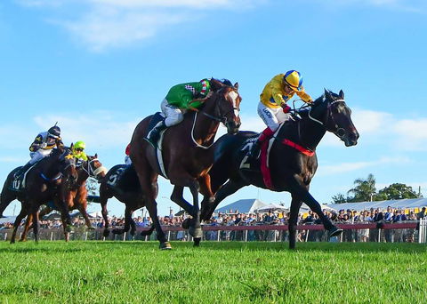 Ipswich Cup 2021 - Accommodation Gold Coast 2
