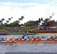 Jacaranda Dragon Boat Races - Accommodation Gold Coast