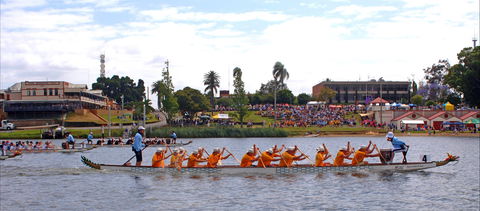 Jacaranda Dragon Boat Races - Accommodation Gold Coast 0