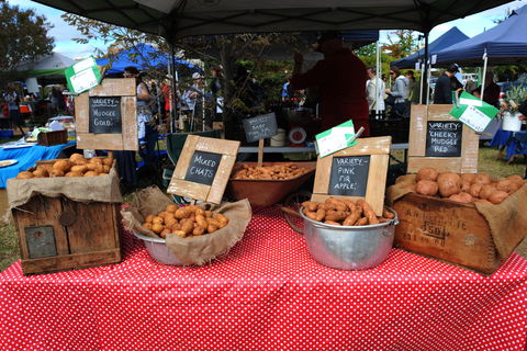 Lawson Park Markets - Gold Coast 4U 0