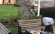 Little Winter Online School Holiday Program - Flagstaff Hill - thumb 1