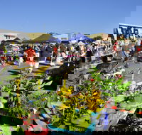 Maclean Community Monthly Markets - Accommodation Gold Coast