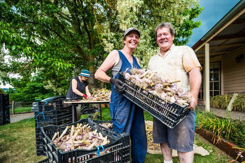Meeniyan Garlic Festival - Accommodation Gold Coast 2