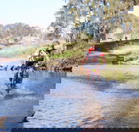 Mountain Man Tri Challenge - Accommodation Gold Coast