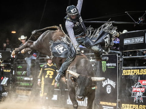 PBR Hawkesbury Stampede - Accommodation Gold Coast 0