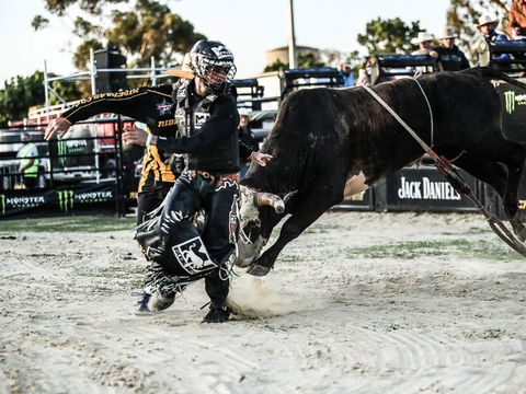PBR Hawkesbury Stampede - Accommodation Gold Coast 2
