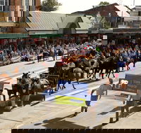 Scone Horse Festival - Gold Coast 4U