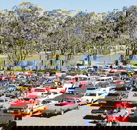 Spring Cruiz In - Accommodation Gold Coast