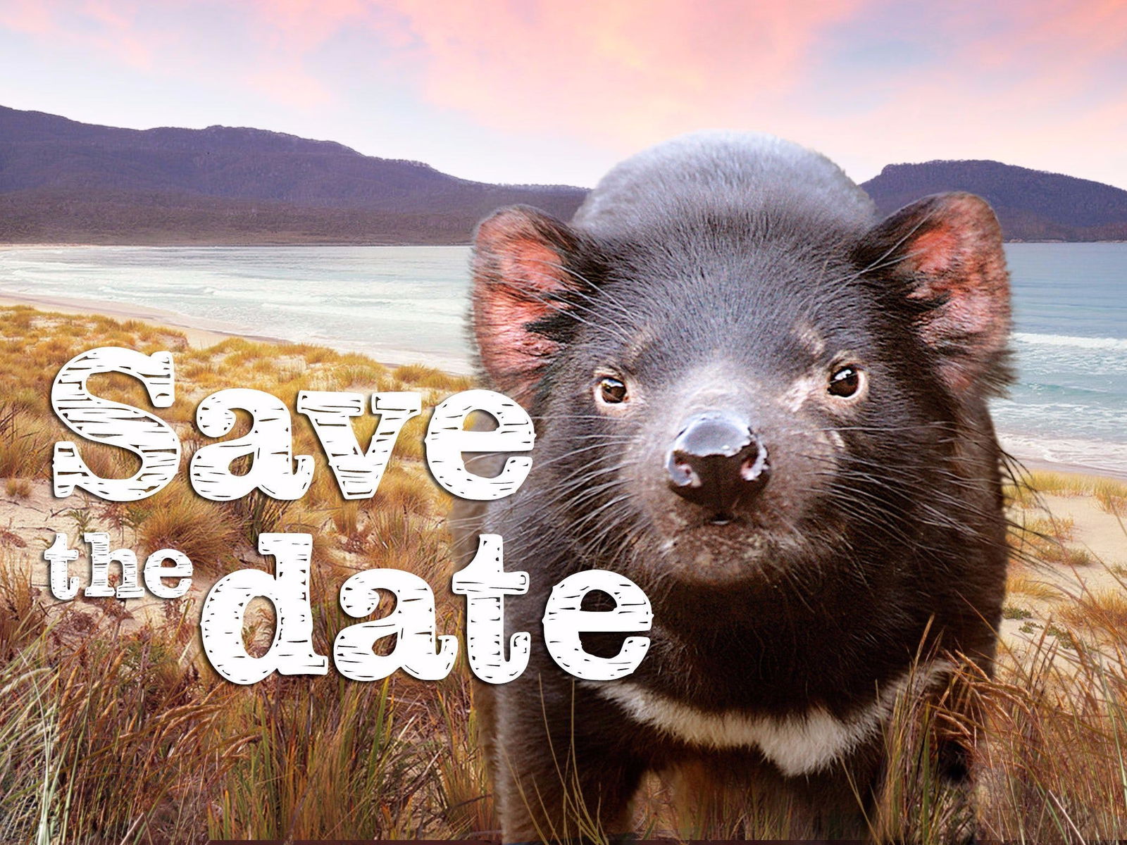  Accommodation Gold Coast