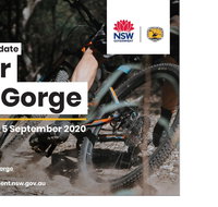 Tour de Gorge - Accommodation Gold Coast