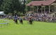 Tumut Derby Day - thumb 0