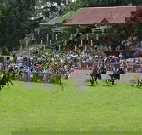Tumut Derby Day - Accommodation Gold Coast