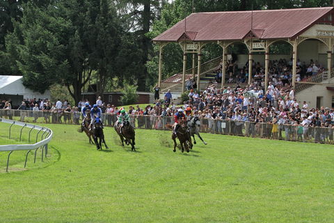 Tumut Derby Day - Accommodation Gold Coast 0