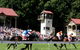 Tumut Derby Day - thumb 1