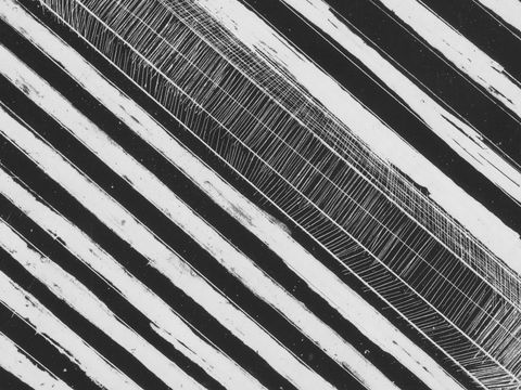 WA Now – Tom Mùller: Monolith Scores - Virtual Exhibition - Accommodation Gold Coast 1