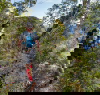 Wild Earth Coastal High 50 - Gold Coast 4U