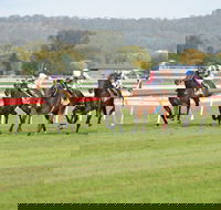 Aggies Race Day - Accommodation Gold Coast