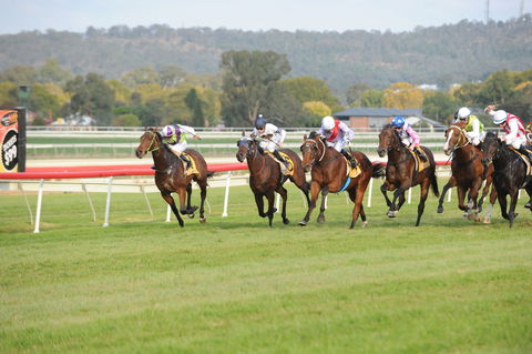 Aggies Race Day - 1 Gold Coast 0