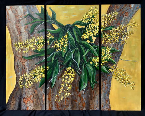 A Still Life - Solo Exhibition  Karen Sedaitis - Accommodation Gold Coast 1
