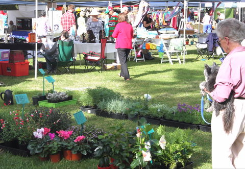 Batemans Bay Sunday Market - 1 Gold Coast 2