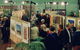 Blackheath Rhododendron Art Show - thumb 0