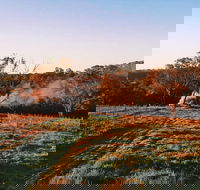 Cargo Road Wines Grande Fiamma - Accommodation Gold Coast