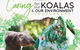 Caring For Our Koalas And Our Environment Conference - Postponed - thumb 0