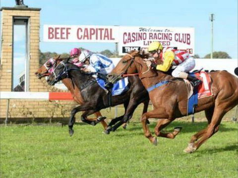 Casino Cup - Accommodation Gold Coast 0
