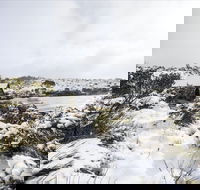 Christmas in July at Cradle Mountain Hotel 2020 - Accommodation Gold Coast