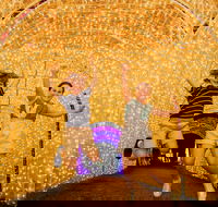Christmas Lights Spectacular New Year's Eve at Hunter Valley Gardens - Accommodation Gold Coast