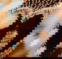 Christmas Lights Spectacular at Hunter Valley Gardens - Accommodation Gold Coast