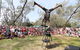 Coffs Harbour International Buskers And Comedy Festival - thumb 0