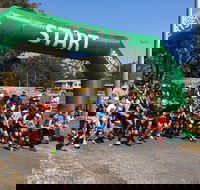 Coffs Harbour Running Festival - Accommodation Gold Coast