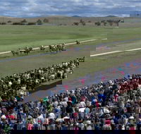 Cooma Sundowners Cup - Accommodation Gold Coast