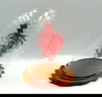 Corrosion Casting - 1 Gold Coast