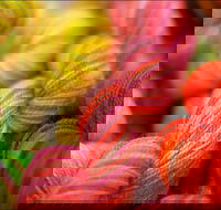 Creative Fibre - Accommodation Gold Coast