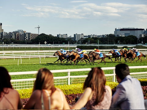 Cup Day - Accommodation Gold Coast 1