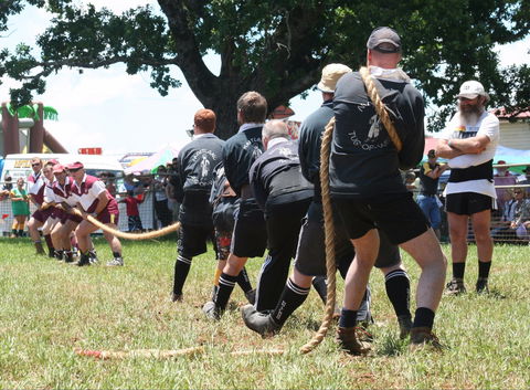 Dorrigo Agricultural Show - 1 Gold Coast 1