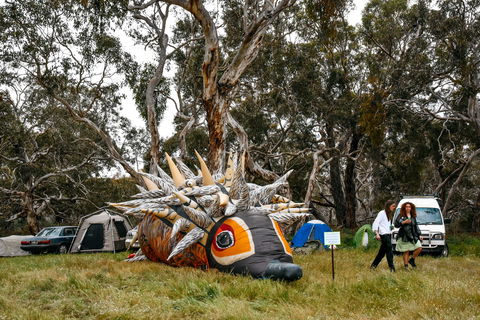 Field Good Festival - Accommodation Gold Coast 2