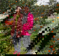 Fruit Taste Adventure Tours - Gold Coast 4U