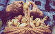 Grafton Farmers Market - thumb 0