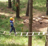 July 2020 Holidays- Go Wild at the Mt Lofty Adventure Hub - Accommodation Gold Coast