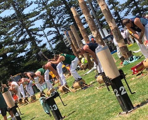 Kiama Show - Gold Coast 4U 1
