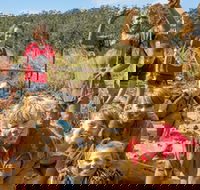 Mini Muddies Obstacle Challenge at Bunnamagoo Estate - Accommodation Gold Coast