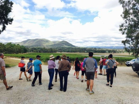 Mudgee Farm Walks - Accommodation Gold Coast 1