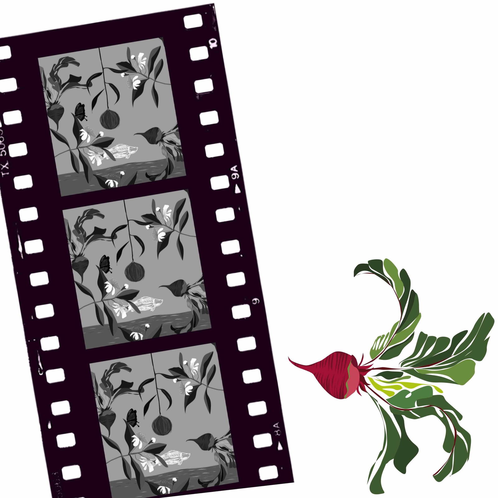 Cairns North QLD Accommodation Gold Coast