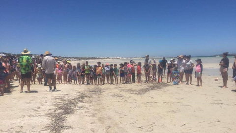 Perlubie Beach Sports Day - Accommodation Gold Coast 1